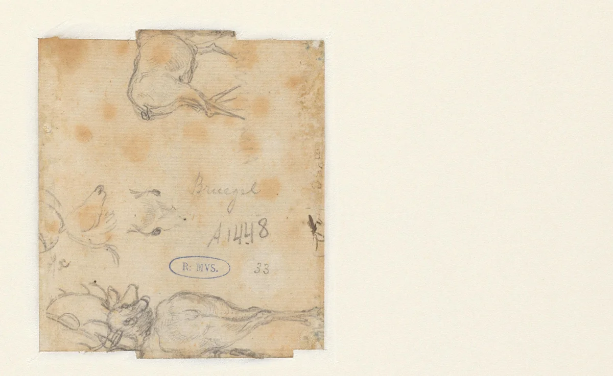 Schetsen van het achterlijf en de kop van een hert by Roelant Savery, drawing, 1603-1613