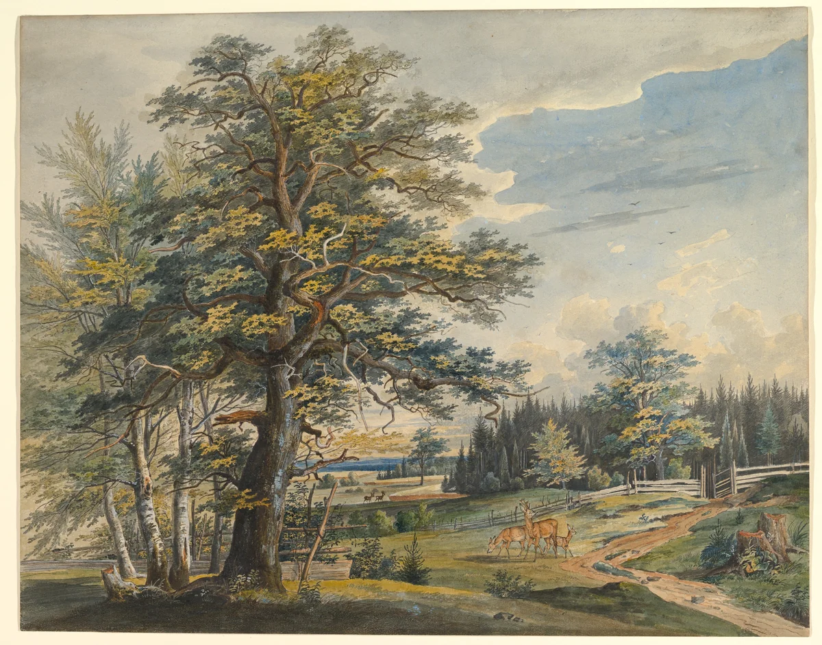 Wooded Landscape with Stag by Carl August Lebschee, drawing, 1800-1877