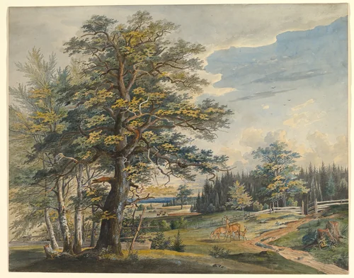Wooded Landscape with Stag by Carl August Lebschee, drawing, 1800-1877