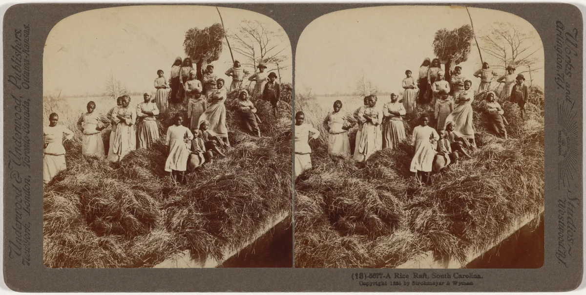 "A Rice Raft, South Carolina" by Strohmeyer & Wyman; Underwood & Underwood, photograph, 1895