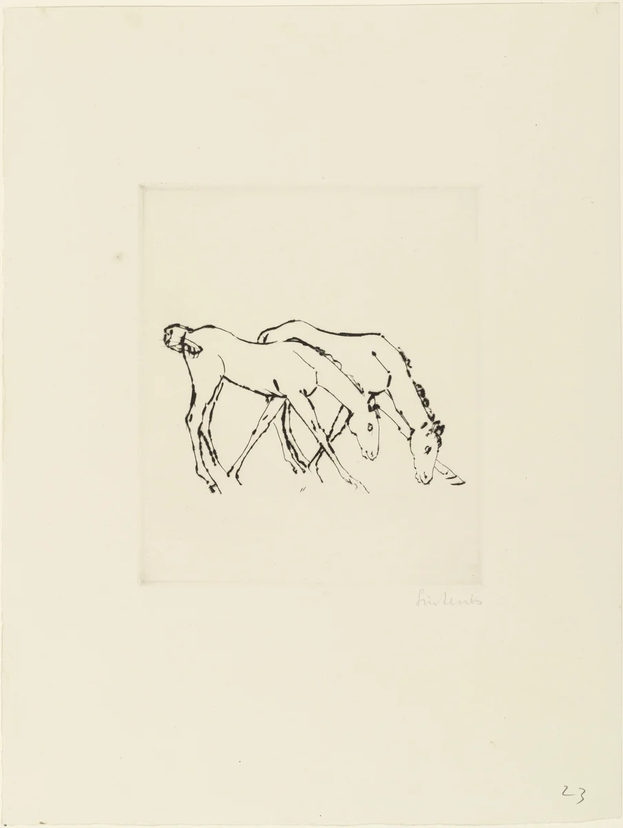 Two Colts Grazing (Zwei Fohlen, grasend) by Renée Sintenis, print, 1919