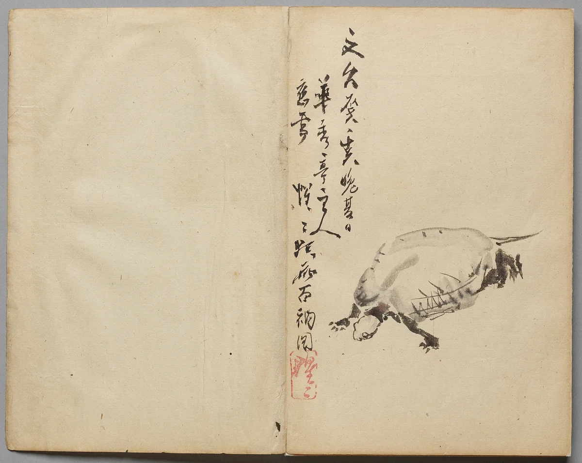 Tortoise from Sketch Album by Kawanabe Kyōsai (河鍋暁斎), book, 1855-1889