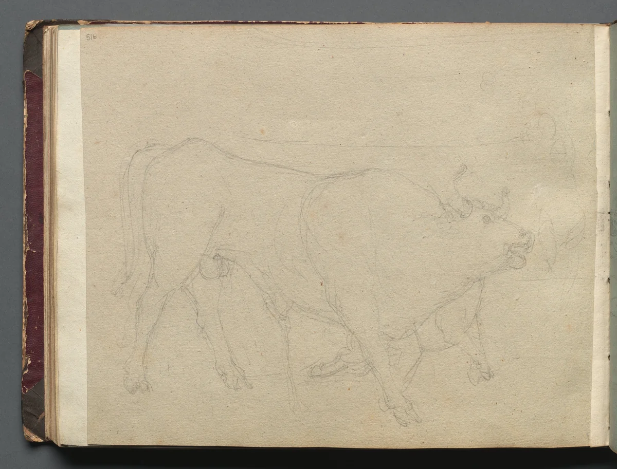 Album with Views of Rome and Surroundings, Landscape Studies, page 51b: Study of a Bull by Franz Nadorp, book, 1830-1870
