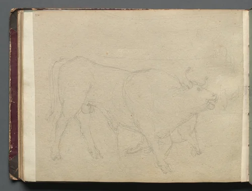 Album with Views of Rome and Surroundings, Landscape Studies, page 51b: Study of a Bull by Franz Nadorp, book, 1830-1870