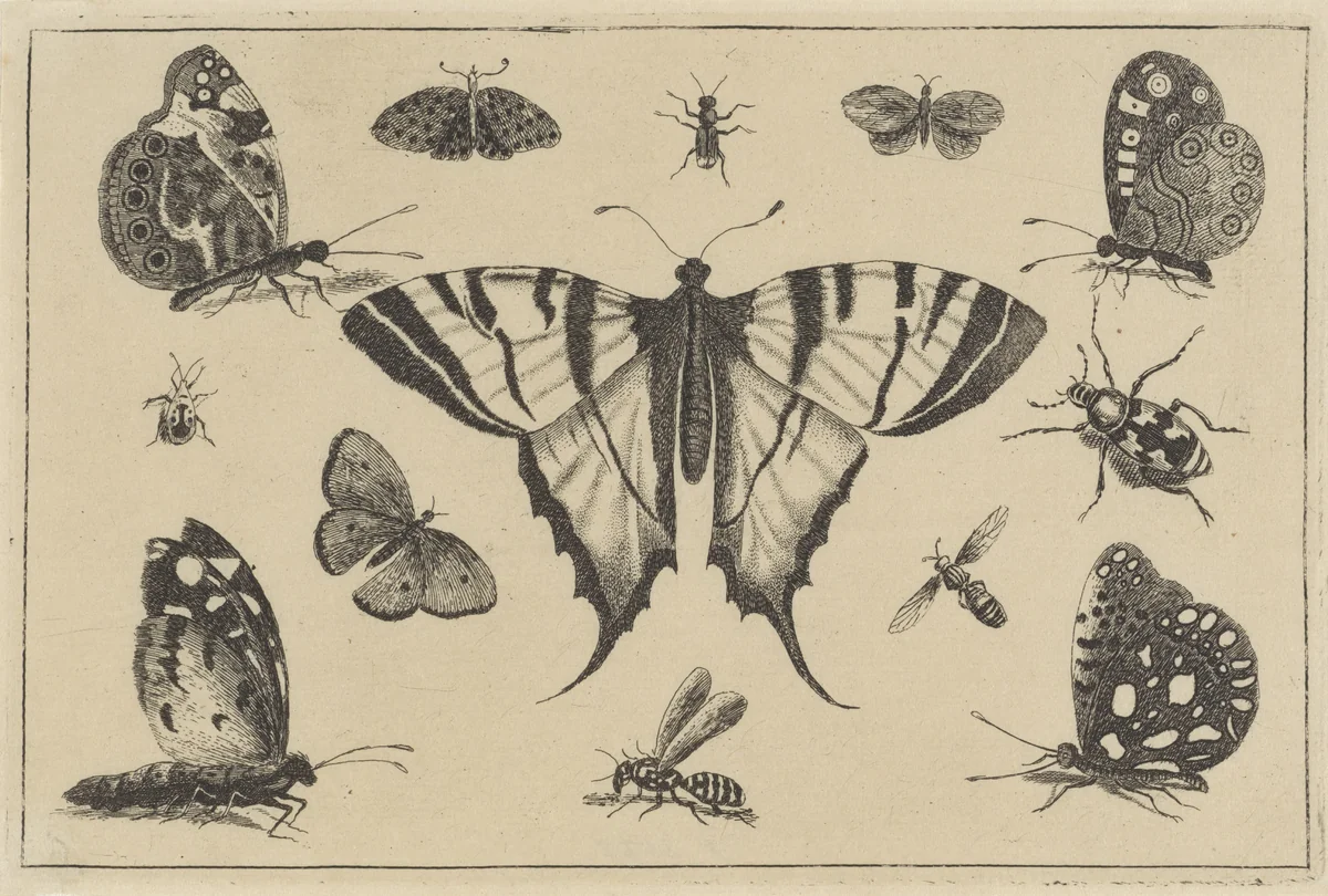 Vlinders, wesp en andere insekten by Wenceslaus Hollar, print, 1644-1652