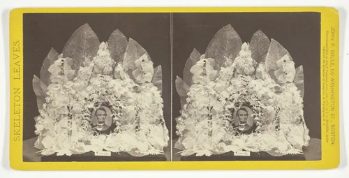 Lincoln, from the series "Skeleton Leaves" by John P. Soule, photograph, 1874
