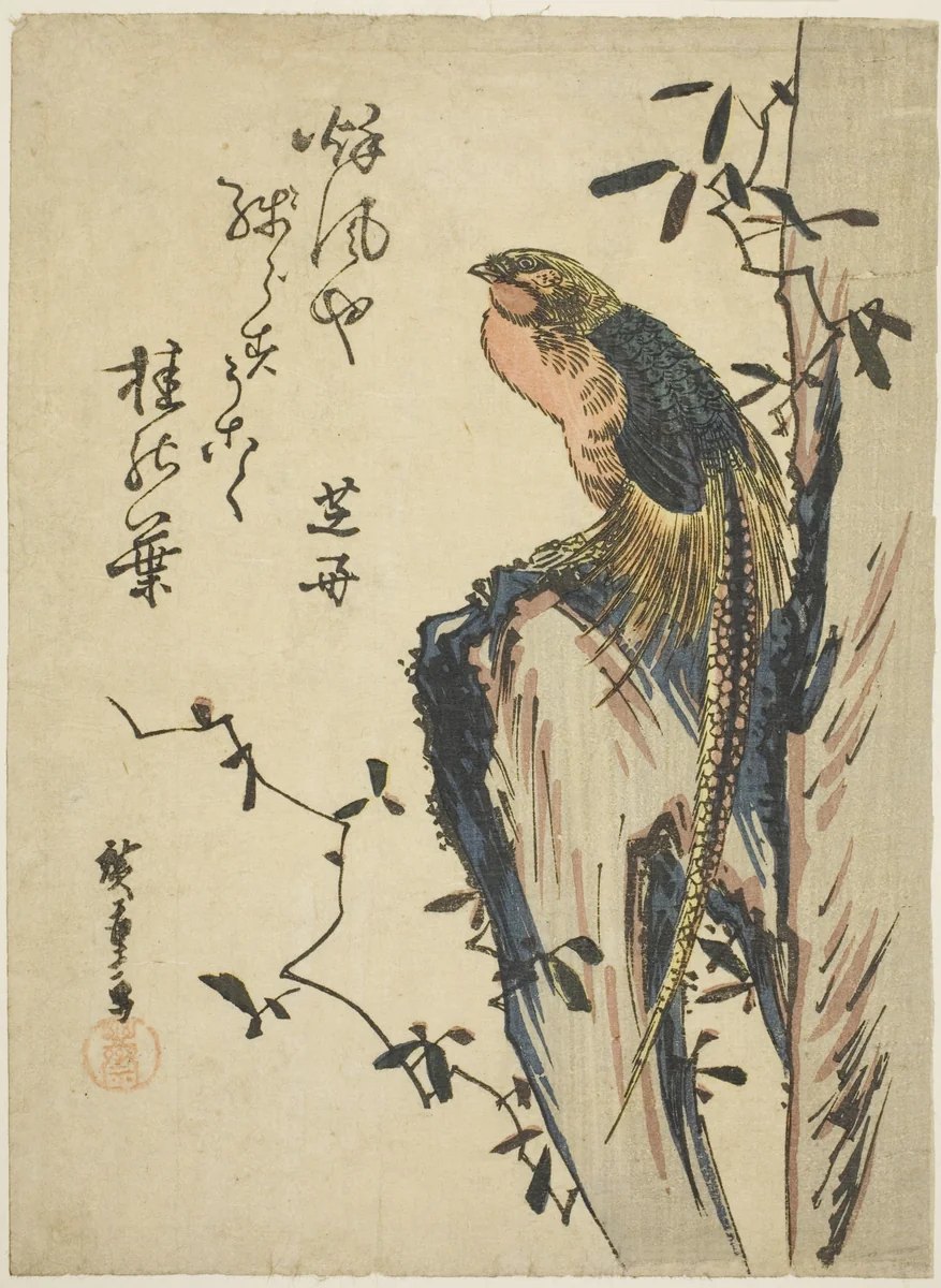 Golden pheasant by Utagawa Hiroshige (歌川広重), print, 1830-1839