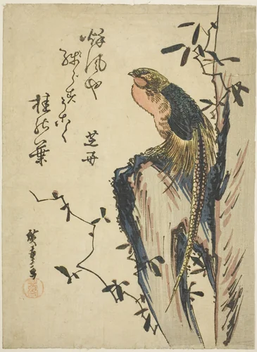 Golden pheasant by Utagawa Hiroshige (歌川広重), print, 1830-1839