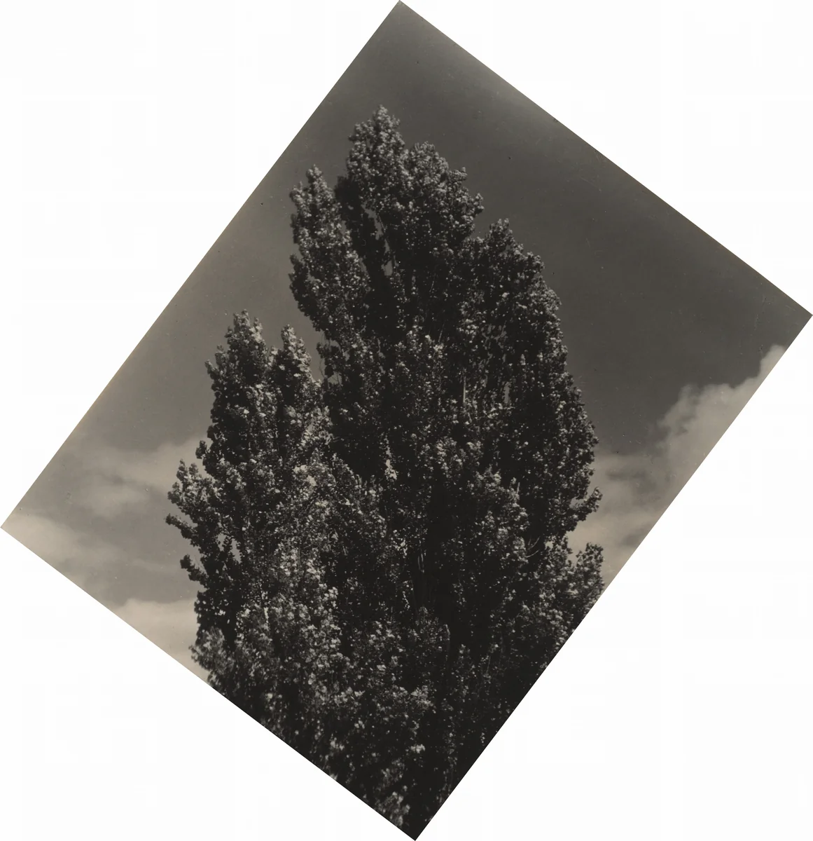 Equivalent by Alfred Stieglitz, photograph, 1927