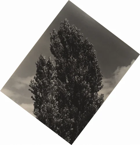 Equivalent by Alfred Stieglitz, photograph, 1927