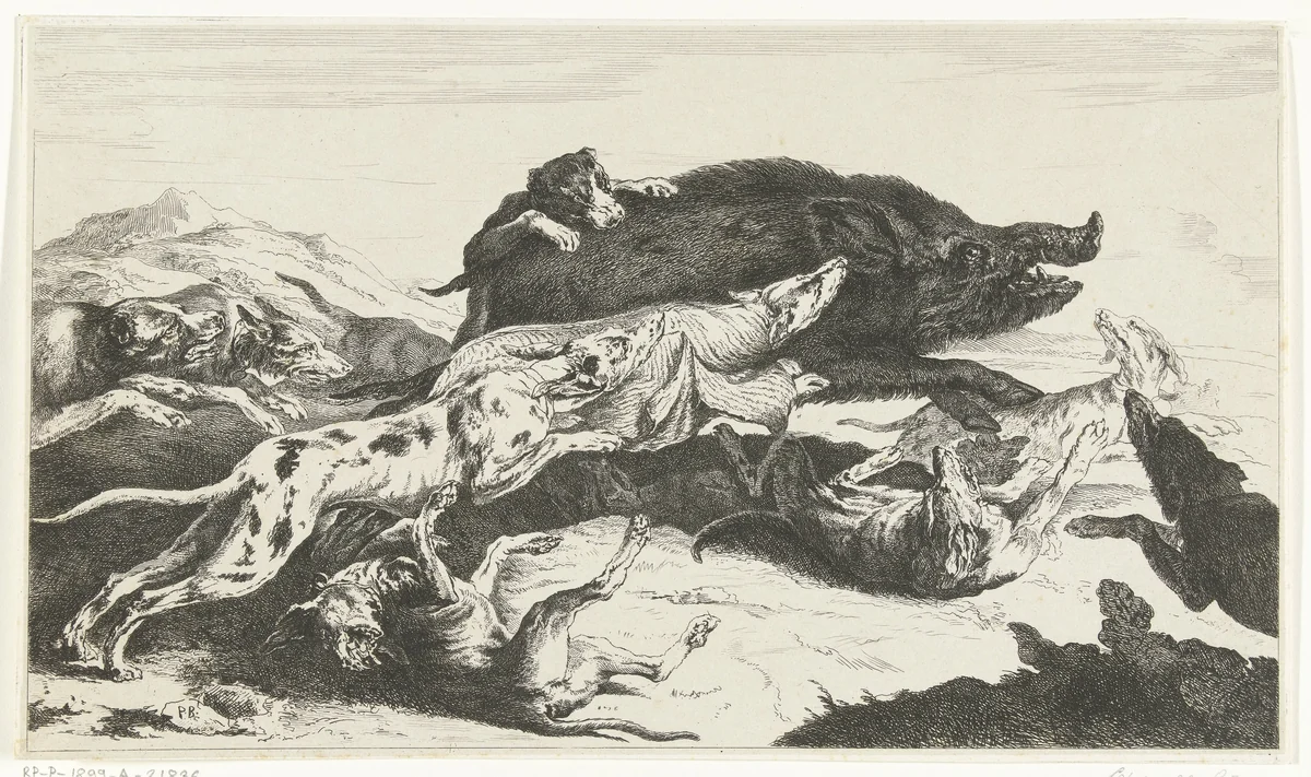 Honden jagen een zwijn by William Young Ottley, print, 1828