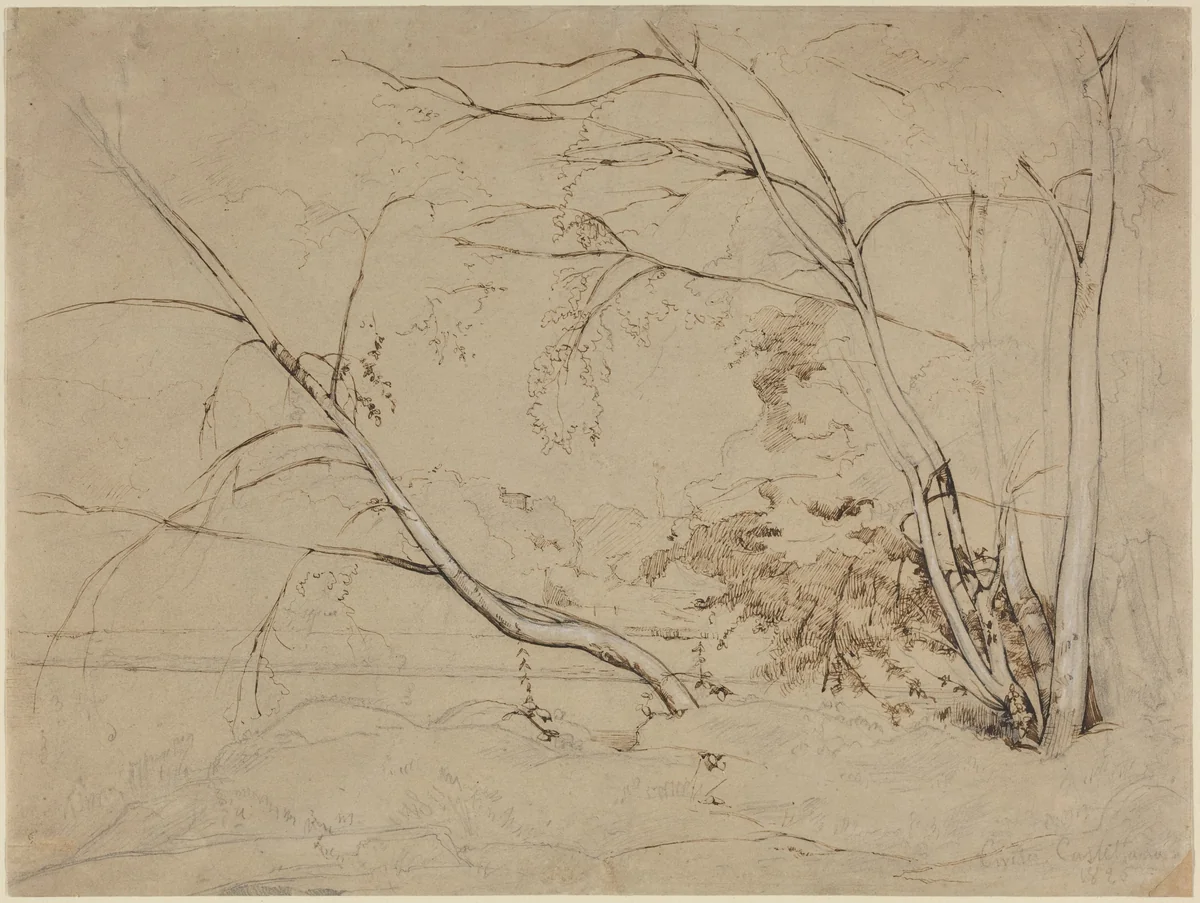 Clump of Trees at Civita Castellana by Jean-Baptiste-Camille Corot, drawing, 1826