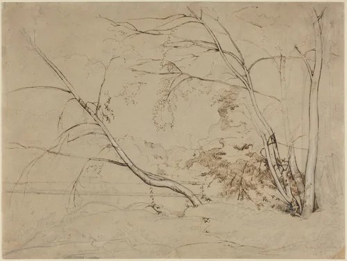 Clump of Trees at Civita Castellana by Jean-Baptiste-Camille Corot, drawing, 1826