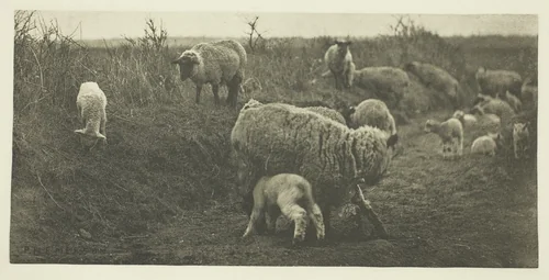 A March Pastoral (Suffolk) by Peter Henry Emerson, print, 1883-1887