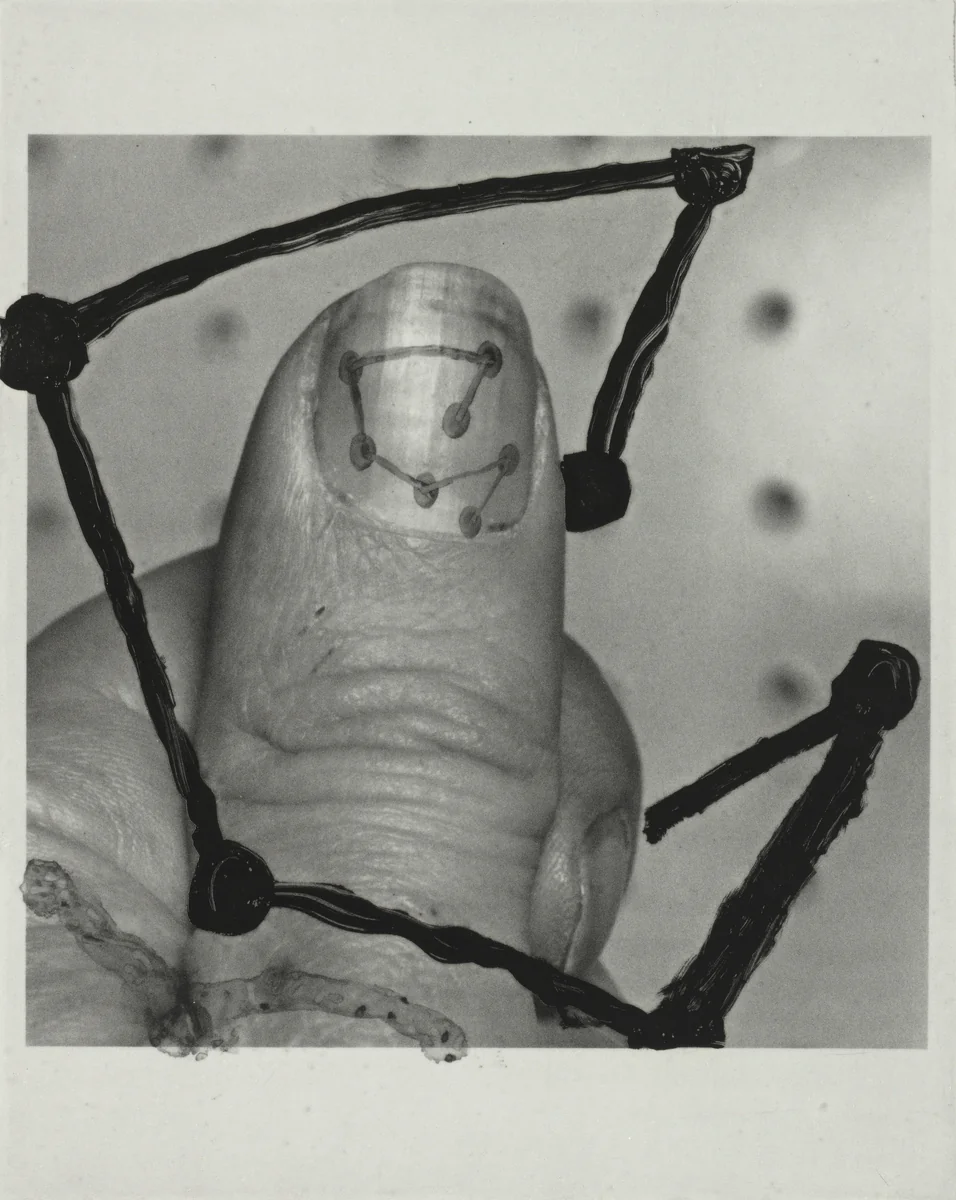 F. (All Thumbs) by Al Taylor, photograph, 1997