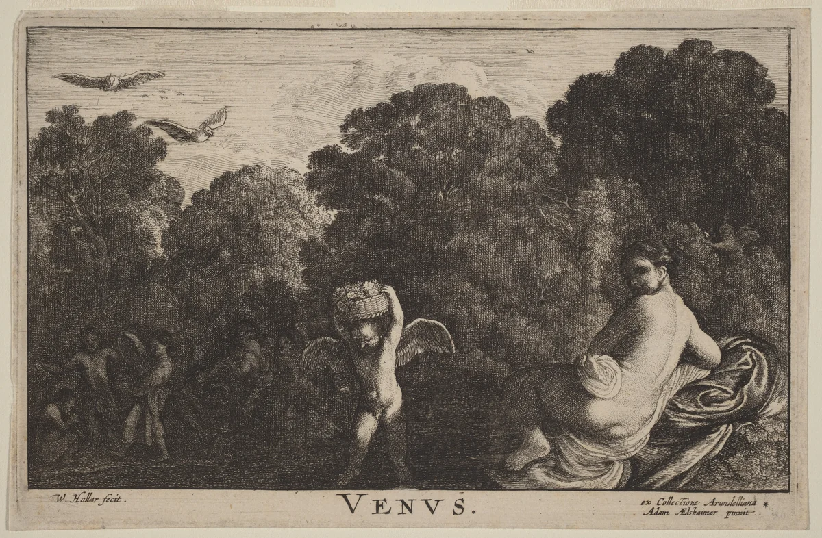 Venus by Wenceslaus Hollar
Adam Elsheimer, print, 1607-1677