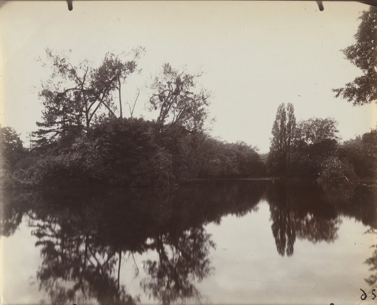 Bois de Boulogne by Eugène Atget, photograph, 1923