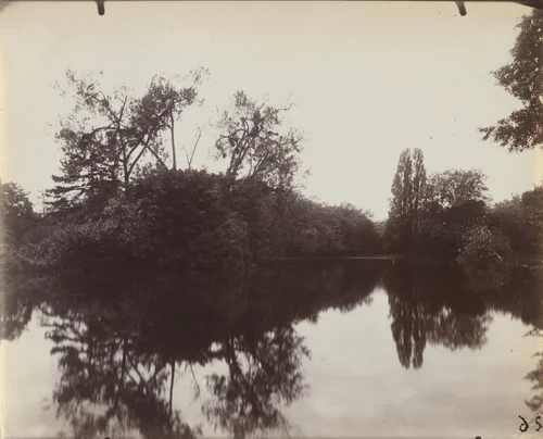 Bois de Boulogne by Eugène Atget, photograph, 1923