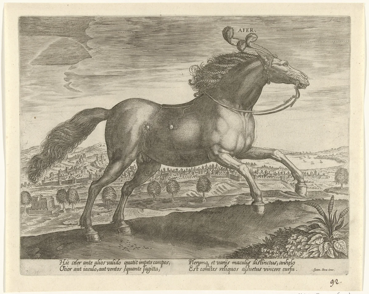 Paard uit Arabië by Unknown, print, 1578-1582