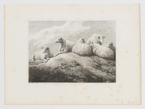 Three Sheep by Samuel Howitt, print, 1796-1806