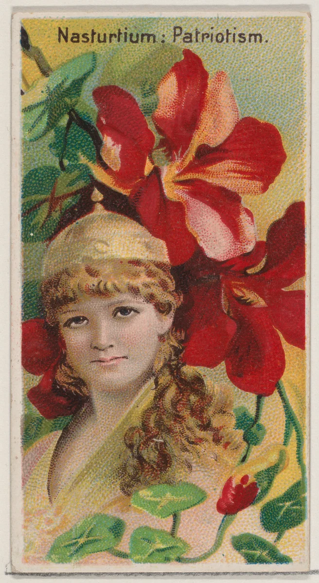 Nasturtium: Patriotism, from the series Floral Beauties and Language of Flowers (N75) for Duke brand cigarettes by American Tobacco Company, print, 1892