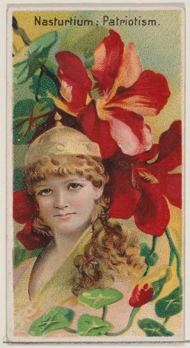 Nasturtium: Patriotism, from the series Floral Beauties and Language of Flowers (N75) for Duke brand cigarettes by American Tobacco Company, print, 1892