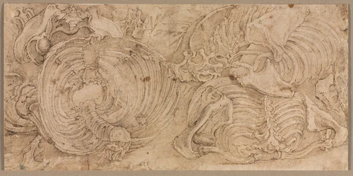 Rib Cages by Battista Franco, drawing, 1540-1545