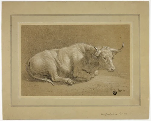Herefordshire Fat Ox by James Ward, drawing, 1789-1859