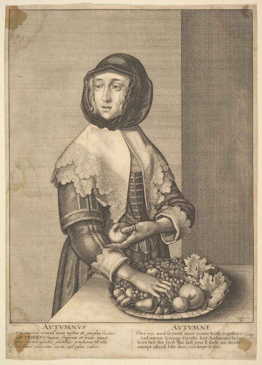 Autumnus - Autumn (Three-quarter-length seasons) by Wenceslaus Hollar, print, 1641