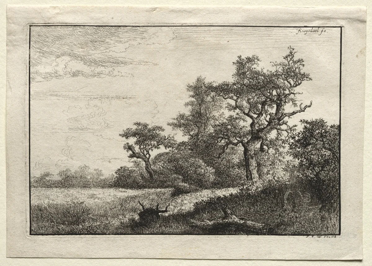 The Wheat Field by Jacob van Ruisdael, print, 1648