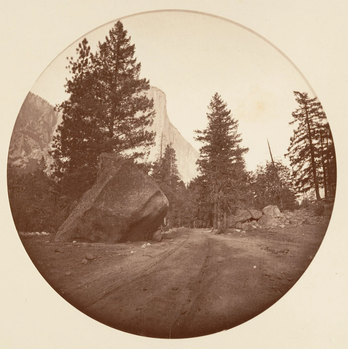 [Yosemite National Park, California] by Carleton E. Watkins, photograph, 1876-1880