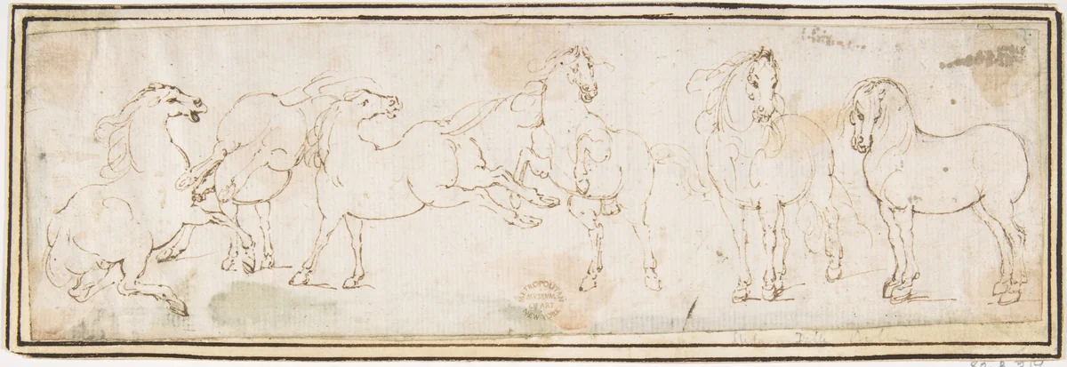 Six Horses by Francesco Allegrini, drawing, 1624-1663
