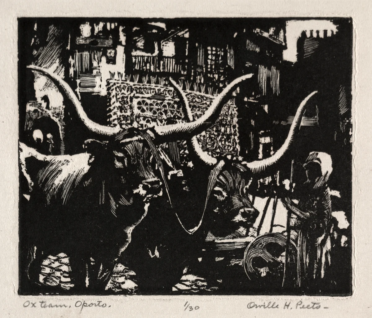 Ox Team, Oporto by Orville Houghton Peets, print, 1917-1927