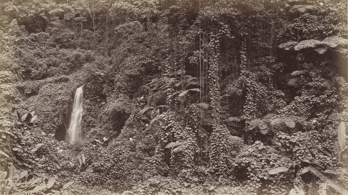 Falls of the Delia, Las Nubes by Eadweard Muybridge, photograph, 1875