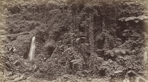 Falls of the Delia, Las Nubes by Eadweard Muybridge, photograph, 1875