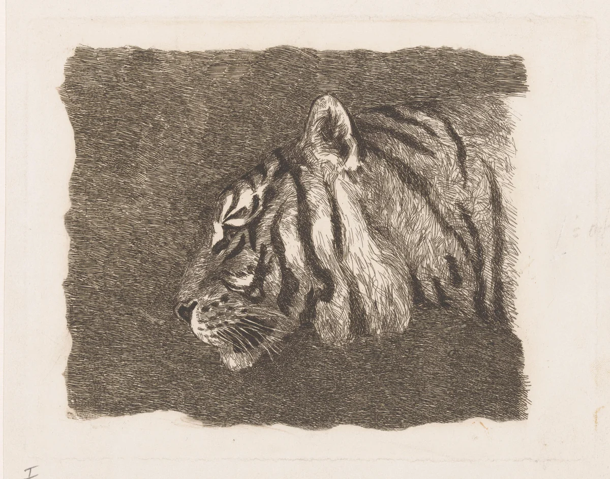 Tijgerkop by August Le Gras, print, 1874-1886