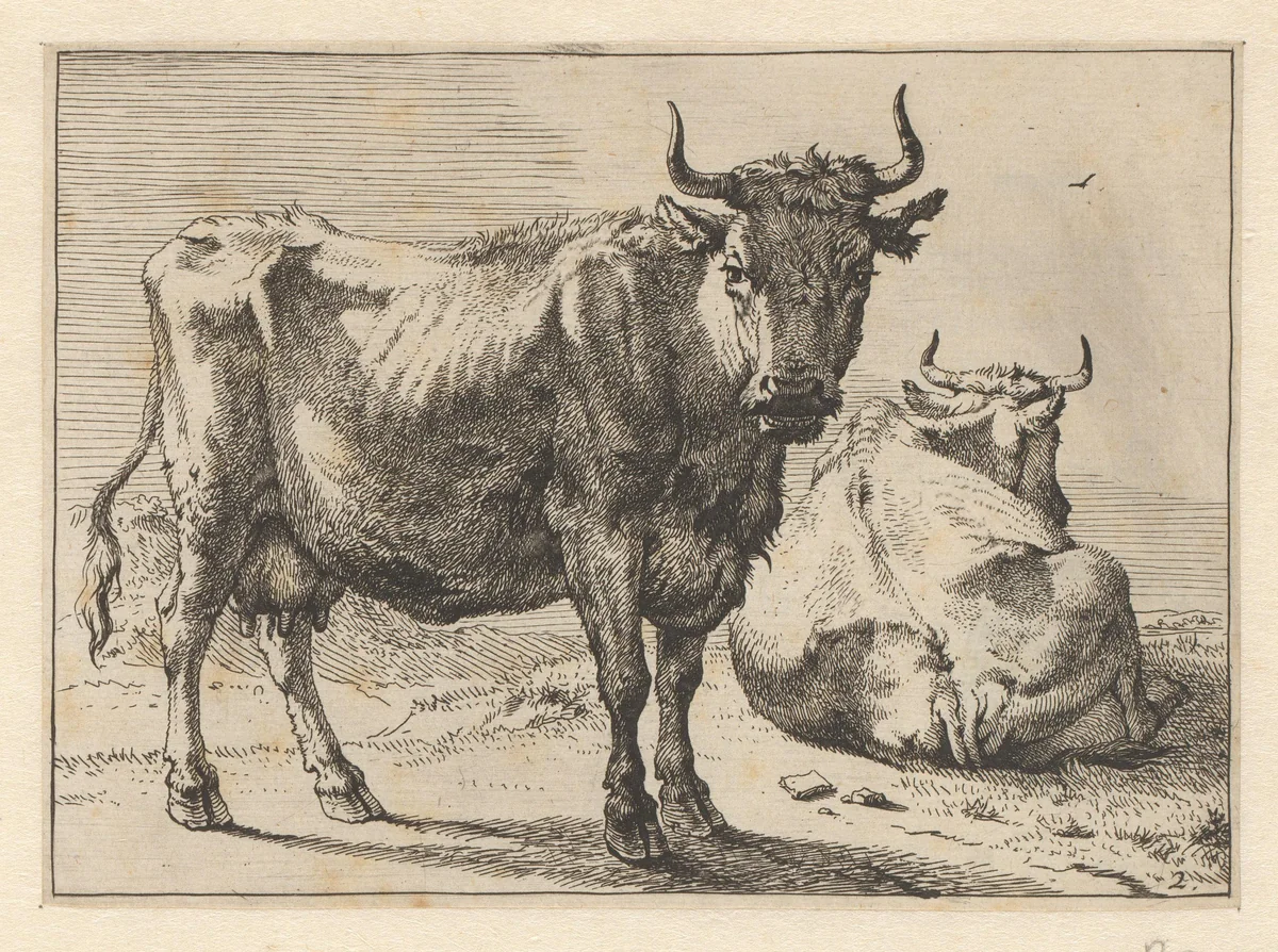 Staande en liggende koe by Paulus Potter, print, 1650