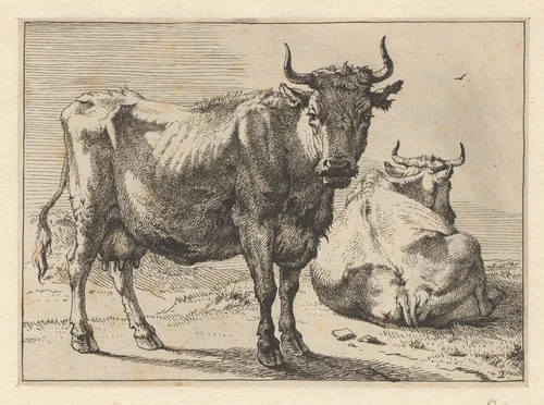 Staande en liggende koe by Paulus Potter, print, 1650