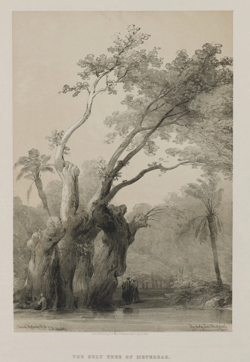 Egypt and Nubia, Volume III: The Holy Tree of Metereah by Louis Haghe, print, 1849