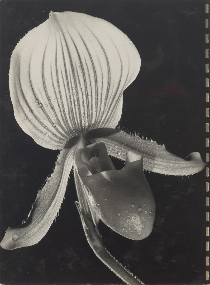 40 Fotos, page 35 by Robert Frank, photograph, 1946