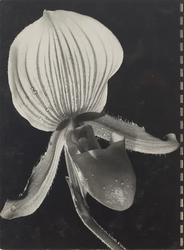 40 Fotos, page 35 by Robert Frank, photograph, 1946