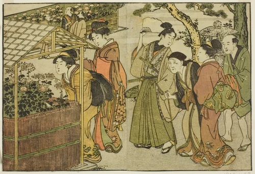 Display of Chrysanthemums, from the illustrated book "Picture Book: Flowers of the Four Seasons (Ehon shiki no hana)," vol. 2 by Kitagawa Utamaro (喜多川歌麿), print, 1801