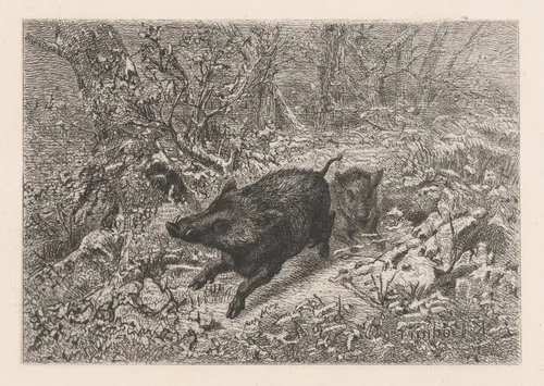 Wild Boar, from "Eaux-Fortes Animaux & Paysages" by Karl Bodmer, print, 1855-1865