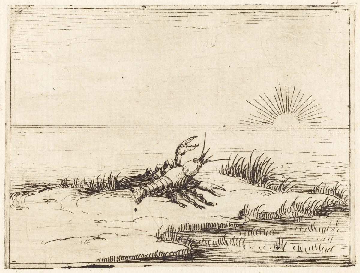 Crayfish Looking at the Sun by Jacques Callot, print, 1628