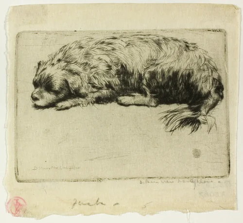 Jack by Donald Shaw MacLaughlan, print, 1902