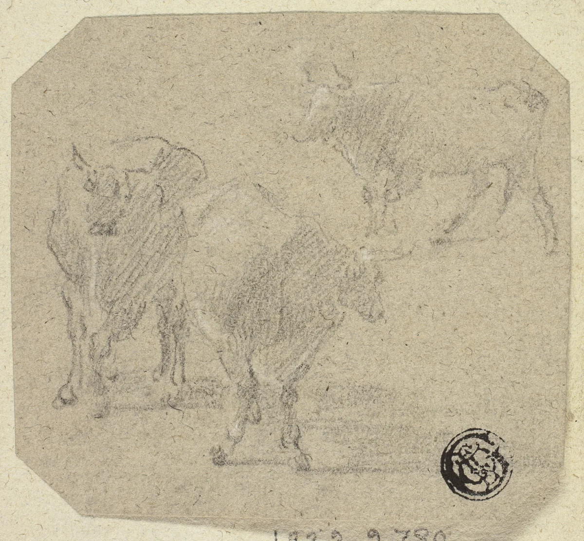 Three Cows by Unknown Artist, drawing, 1800-1899