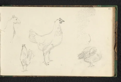 Drie kippen en een paardenhoofd by Jan Bedijs Tom, drawing, 1823-1894
