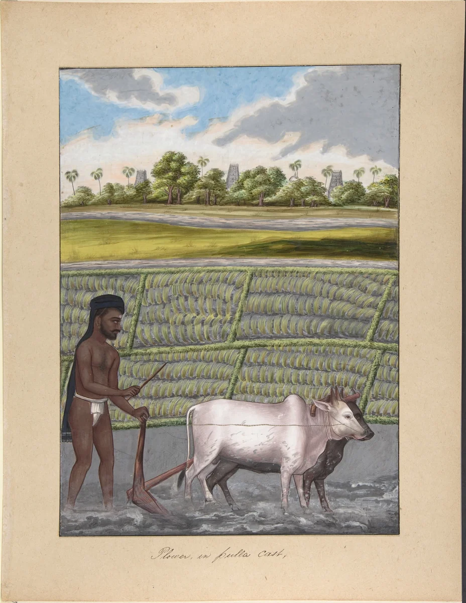Plower in Pulla Caste, from Indian Trades and Castes by anonymous, drawing, 1835-1845