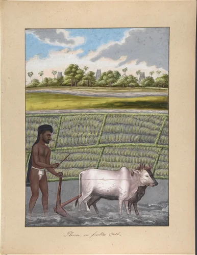 Plower in Pulla Caste, from Indian Trades and Castes by anonymous, drawing, 1835-1845