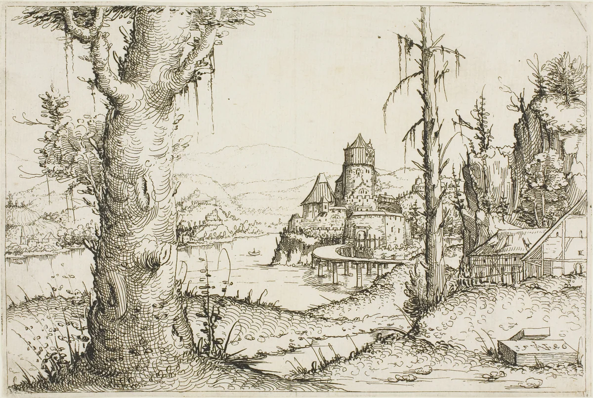 River Landscape with Large Tree in Foreground by Augustin Hirschvogel, print, 1546